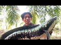 GILA...!! CESTING MAMA TOMAN MONSTER PENGHUNI LAHAN SAWIT BANJIR || GIANT SNAKEHEAD FISHING