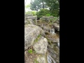 Local garden with mini falls. ASMR