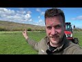 Cost Effective Field Maintenance - We Test the Harrows from Hackett