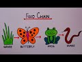 food chain diagram|easy food chain drawing| food chain drawing with colour|food chain drawing easy