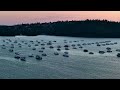 LAKE OROVILLE BIDWELL BAR BRIDGE SUNSET W/4K DRONE & ZOOM