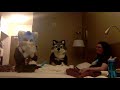 furries waste half an hour of your life talking about a con (AWU 2018)