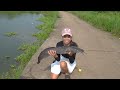 Fishing Video. Big Catfish with Single Hook | Hook Fisihing