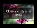 1 Hour 🎶 Relaxing Meditation Music For Stress Relief 🎶 With Water Sounds