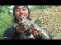 Mancing ikan gabus besar di sungai liar gak nyangka dapat ikan gabus terbesar