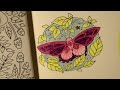Small Victories   Prismacolor   Moth, butterfly   Made with Clipchamp