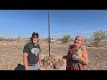 Q 24 RV Rally In The Desert
