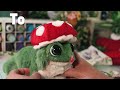 I Made A Frog...But Furry l Polymer Clay Art Doll