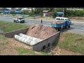 Full video ! New Project On The ASEAN 60M Road Dump Truck Take Dozer To Push Soil By Dump Truck 5t