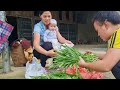 Harvest green vegetables to sell at the market - buy nutritious milk for your children