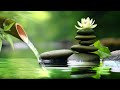 Relaxing Water Sounds 24/7 - リラックスできる音楽、瞑想用の音楽、自然の音、竹【癒し音楽BGM】