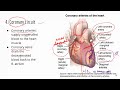 [Higher volume] ATI TEAS Science Review_Cardiovascular System 2_Trace blood flow&coronary circuit