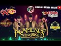 LOS ALAMEÑOS DE LA SIERRA 🔥 Puro Excelentes Bailes De Alameños 💃 Huapangos Para Bailar