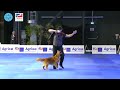 Worldchampionship dogdance 2022