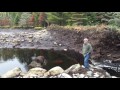 Beaver Dam Collapse