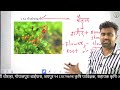 [1] Biology For JET / ICAR / BHU | Plant Classification  (वनस्पति जगत वर्गीकरण  |ASP Coaching Jaipur