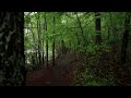 Relaxing Rainfall and Thunder, Walking in the Rain ASMR, Nature Sounds for Sleep and Study