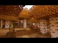 RTX Minecraft Birch Forest Cinematic