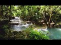 Rainforest Sound Subliminal for Insomnia and Depression | Nature Sounds Binaural Beats ASMR Ambience