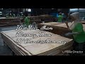 Proses pembuatan kayu lapis  (Proses produksi plywood)