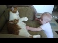 Cat Swatting at baby.....hilarious