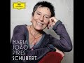 Schubert: Piano Sonata No. 21 in B-Flat Major, D. 960 - I. Molto moderato