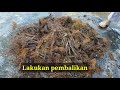 Pembuatan pupuk kompos asal Tandan Kosong Kelapa Sawit
