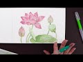 How to use watercolor pencils with Caran D'ache palette and water brush | Lotus Flowers of Edo book