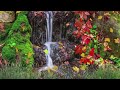 Rain & Waterfall Nature Sound for Relaxing, Sleep or Meditation