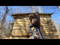 Cabin/Shed Built With Pallet Wood On Off Grid Land! DIY