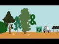 Planting Trees to Capture Carbon - Does it Add Up? Animation Planting Trees for Carbon Sequestration