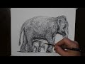 How to Draw a Momma and Baby Elephant | Scribble Art Drawing