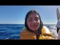 Malta VLOG - Mellieha, Valetta, Marsaxlokk, Popeye Village, Blue Grotto and Comino/Gozo Islands.