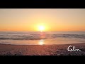 Sunset Beach | Sounds for Relaxing, Focus or Deep Sleep | Nature White Noise | 8 Hour Video