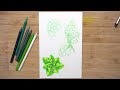 How To Use Watercolor Pencils UPDATE | How To For Beginners