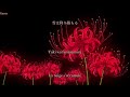 Demon Slayer : Kimetsu no Yaiba ED1 : FictionJunction feat. LiSA - from the edge [Paroles + Trad FR]