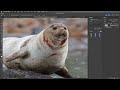 Adobe Photoshop (beta) April Update — Now with Firefly Image 3 Model