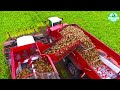 The Most Modern Agriculture Machines That Are At Another Level , How To Harvest Onions In Farm ▶2