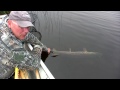 Giant Pike Of Lake St  Joseph!