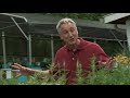 Growing a Greener World Episode 1110: Container Gardening Anywhere: What to Know Before You Grow