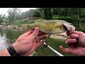 The Smallmouth That Broke My Heart | River Wading For Smallmouth