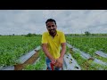 इस सिंपल 500रु. के जुगाड़ से बचाओ 3 लाख रुपये🔥🔥Desi Jugaad Agriculture | Indian Farmer