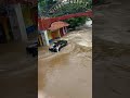 Viral banjir di jakarta sampe mobil kebawa arus dan ada ular besar parah banget