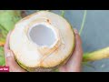 ज्यादा पानी वाला नारियल पता करना है तो ये ट्रिक्स आएंगे काम। Coconut Water Benefits। Nariyal Pani।