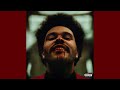 The Weeknd - Blinding Lights (slowed + reverb)