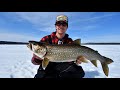 Picking The Perfect Lake Trout Rod