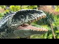 Giganotosaurus vs  Spinosaurus BATTLE🦖The Unexpected Adventure of Dinosaur Egg