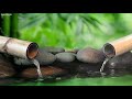 3 Hours Bamboo Sound Relaxing Music • Calm Piano Music, Sleep Music, Water Sounds, Meditation Music
