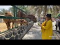 Hindi na magkiss si Sugar Dadi, kiss daw sabi ng Camel|MadamHikaw