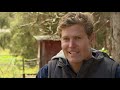 🐷 Pig Trouble In Little Pig Town | FULL EPISODE | S8E7 | Bondi Vet